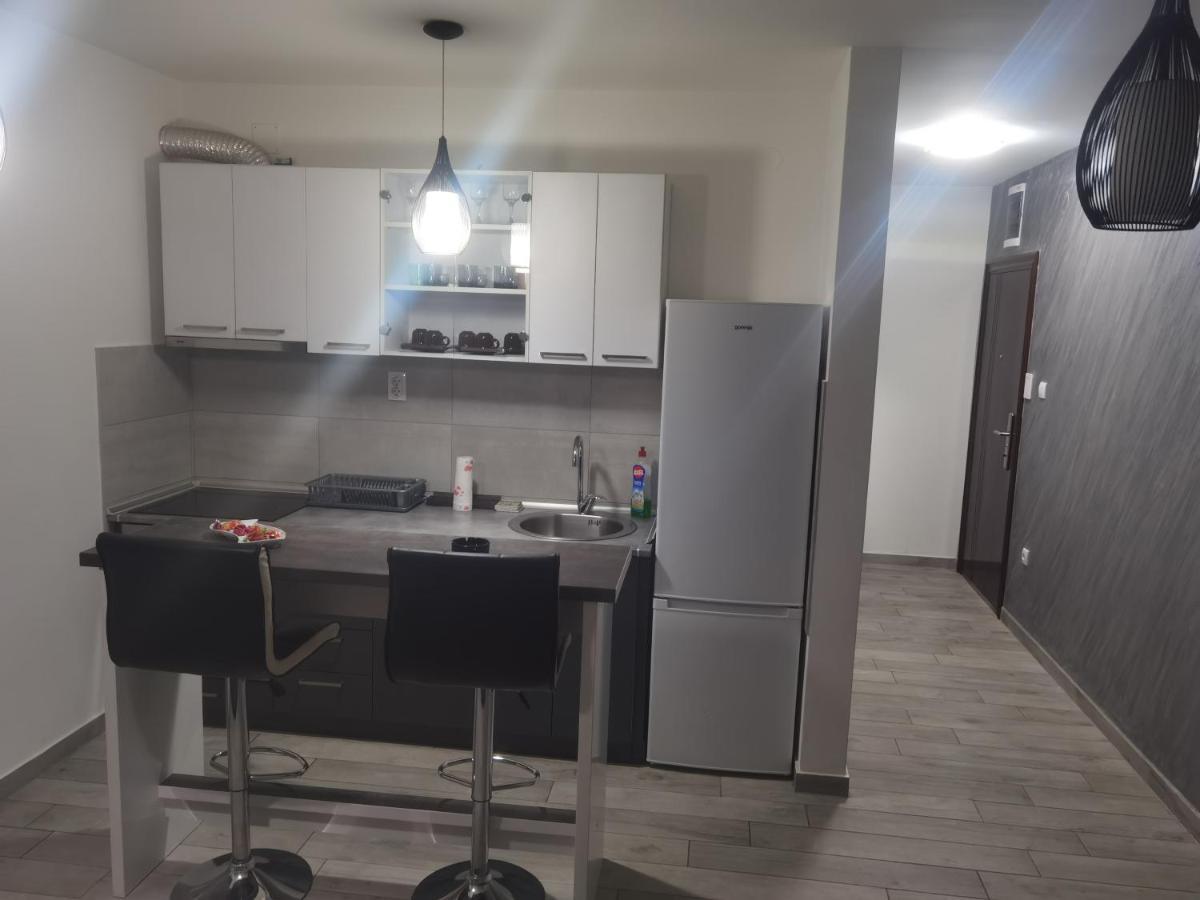 Danica Apartment Sremska Mitrovica Bagian luar foto