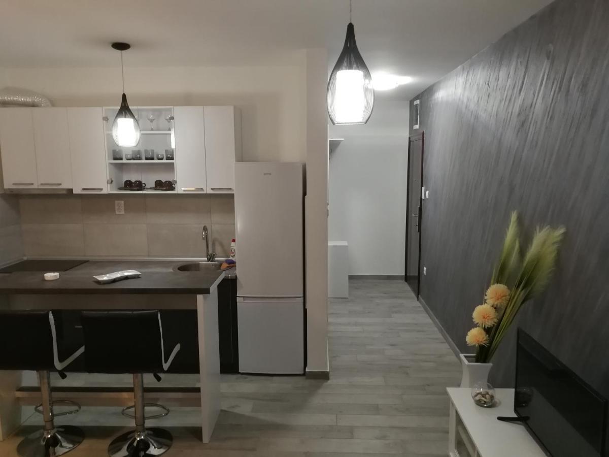 Danica Apartment Sremska Mitrovica Bagian luar foto