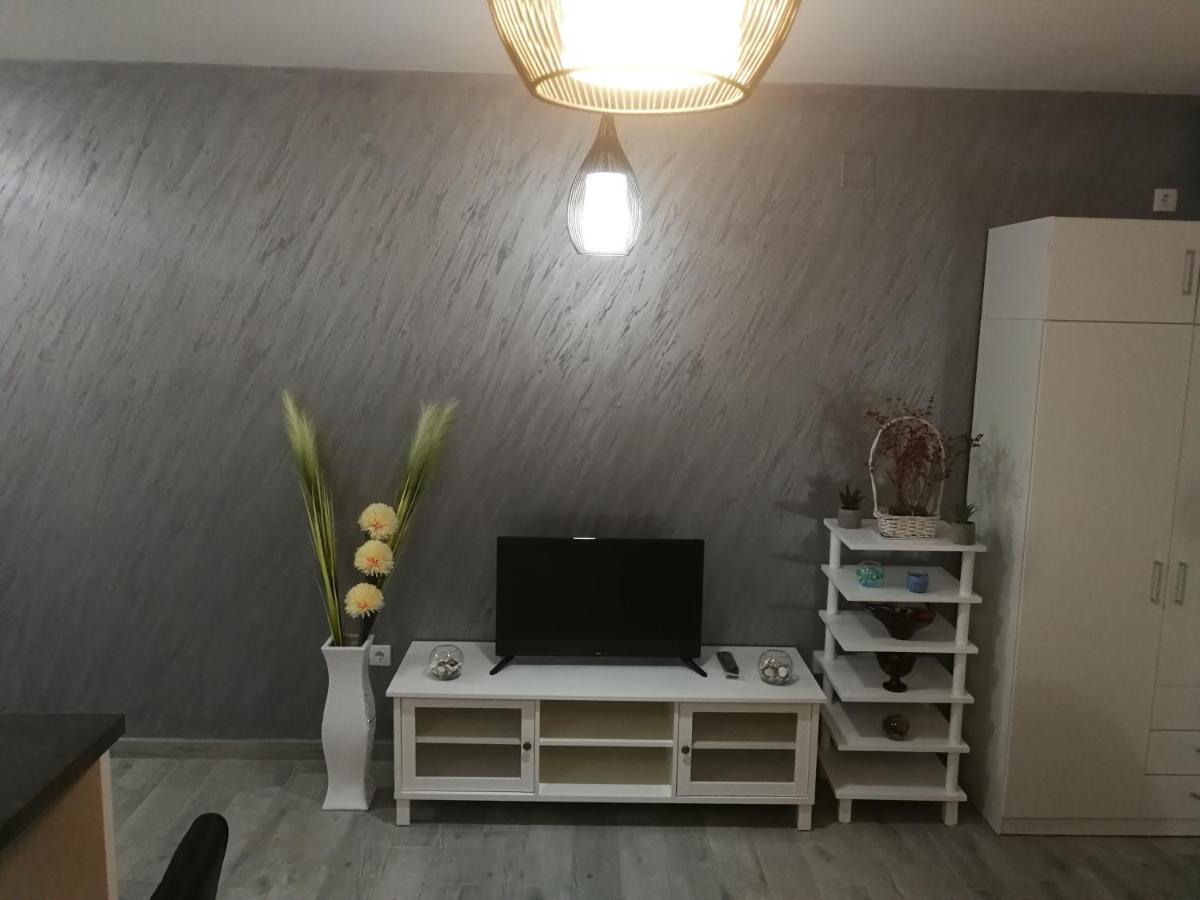 Danica Apartment Sremska Mitrovica Bagian luar foto